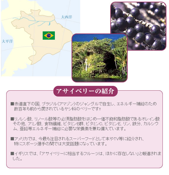 �A�T�C�x���[�@�A���g�V�A�j���@���͉񕜁@�R�_������