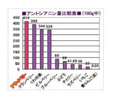 �A���g�V�A�j���@�A�T�C�x���[�@�r���x���[�@�u���[�x���[�@�R���_������